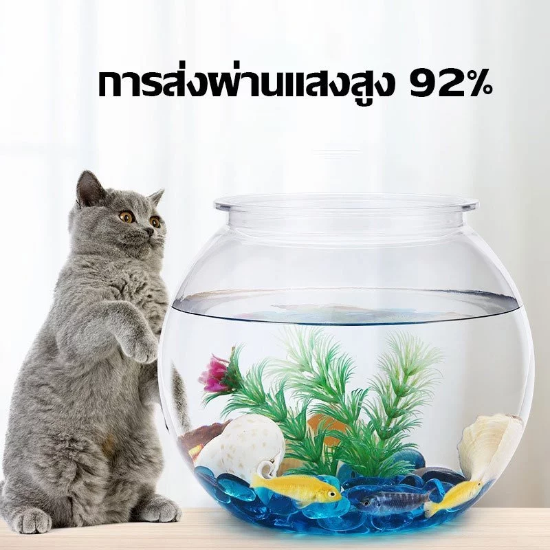 โหลพลาสติกใส เลี้ยงปลา ตู้ปลาเล็ก จัดตู้ไม้น้ำ thumbnail 5