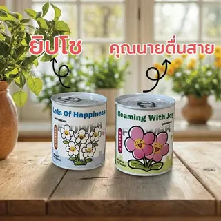 ชุดปลูกพืชในกระป๋อง | 15 สายพันธุ์ | ปลูกง่าย มือใหม่ก็ปลูกได้