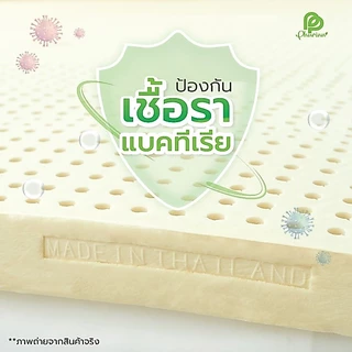 ลดพิเศษ ++Phurinn Topper ++ รุ่น Export Soft series++ ที่นอนยางพาราแท้ 100% เพื่อสุขภาพ