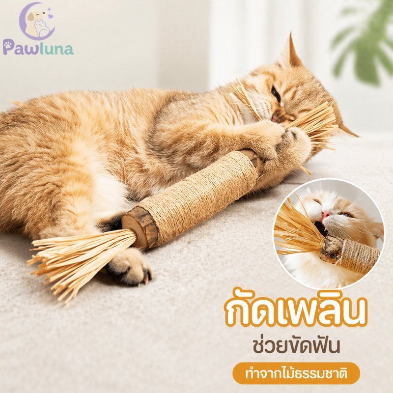 Matatabi Cat Chew Stick ของเล่นทําความสะอาดฟัน Silvervine Natural Calming สัตว์เลี้ยงทนทานขนาดใหญ่