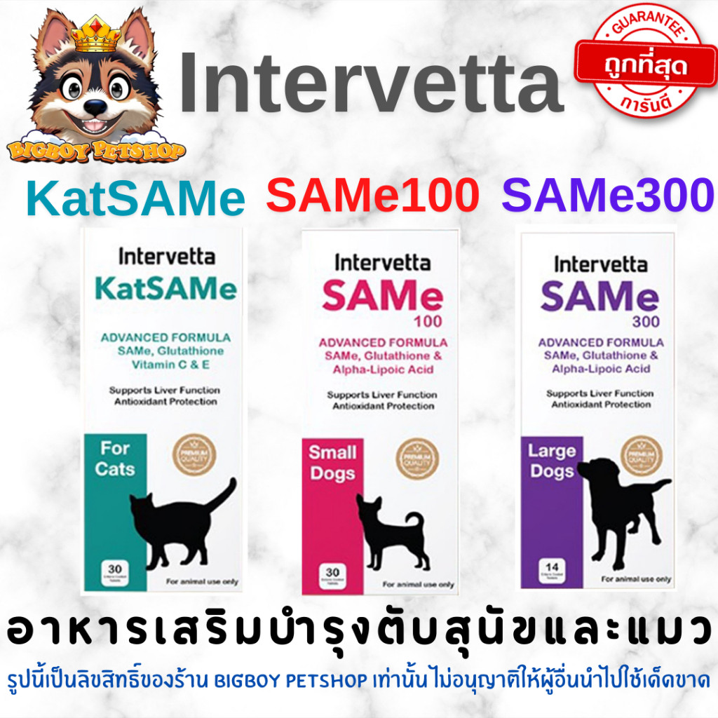 SAMe Intervetta อาหารเสริมวิตามินบำรุงตับ สัตว์เลี้ยง สุนัข แมว Liver supplement