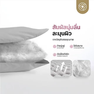 Orientas ผ้าห่มหิมะ Koyuki Gray ผ้าห่มนวม เย็น นุ่มลื่น ระบายอากาศได้ดี ผ้าห่มโรงแรม 3.5/5/6 ฟุต