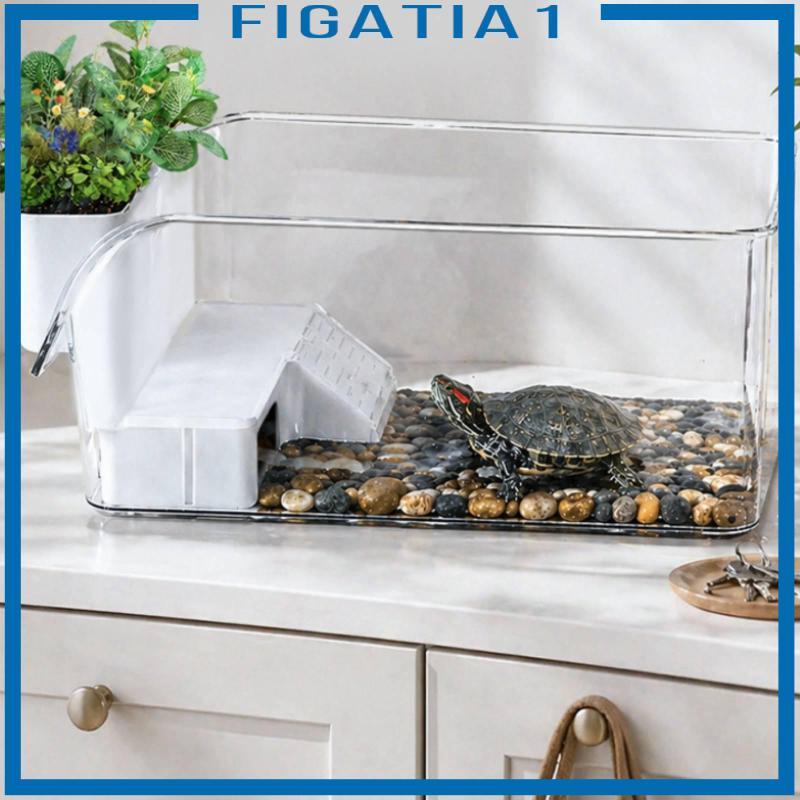 [figatia1] เค้าโครง Scenic Turtle Basking Enclosure ทําความสะอาดง่าย Small Cold-Blooded Pet Enclosur