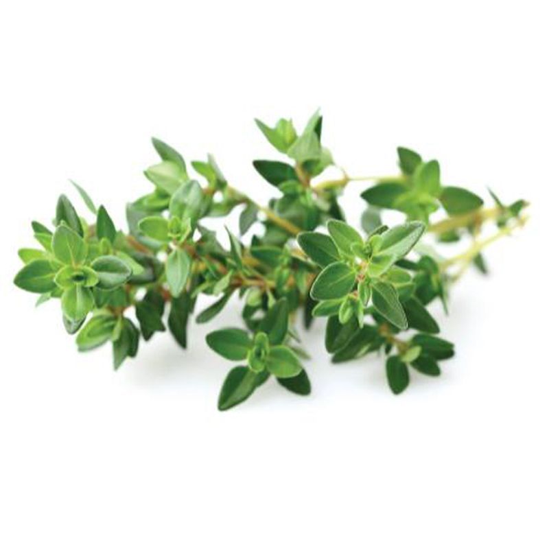 ไทม์ 15กรัม Thyme 15g.