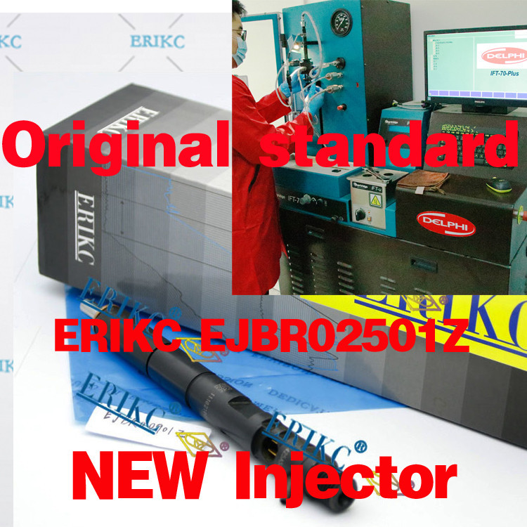 ERIKC ดีเซลหัวฉีดน้ํามันเชื้อเพลิง EJBR02501Z 33801-4X900 R02501Z สําหรับ Delphi Bongo 2.9L