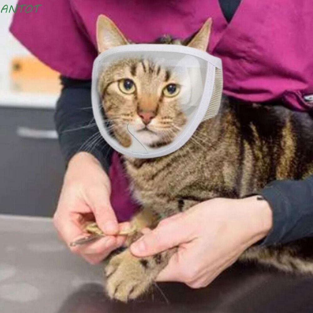 ANTOT Cat Muzzle Transparent Chewing Safety Anti Bite Mouth Guard