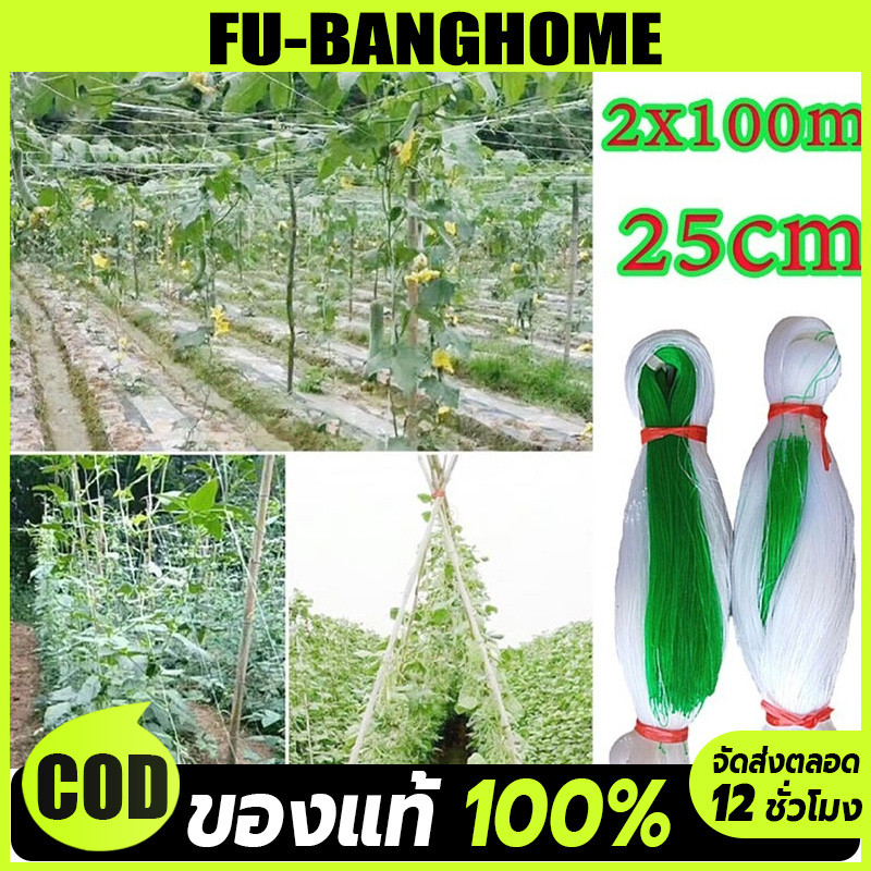 【างปลูกผัก】ค้างผัก 2*100m ตาข่ายปลูกผัก ค้างไม้เลื้อย ตะข่ายไนลอน ต้นไม้เลื้อย อวนแตง ตาข่ายปลูกแตงกวา ตาข่ายไนล่อน