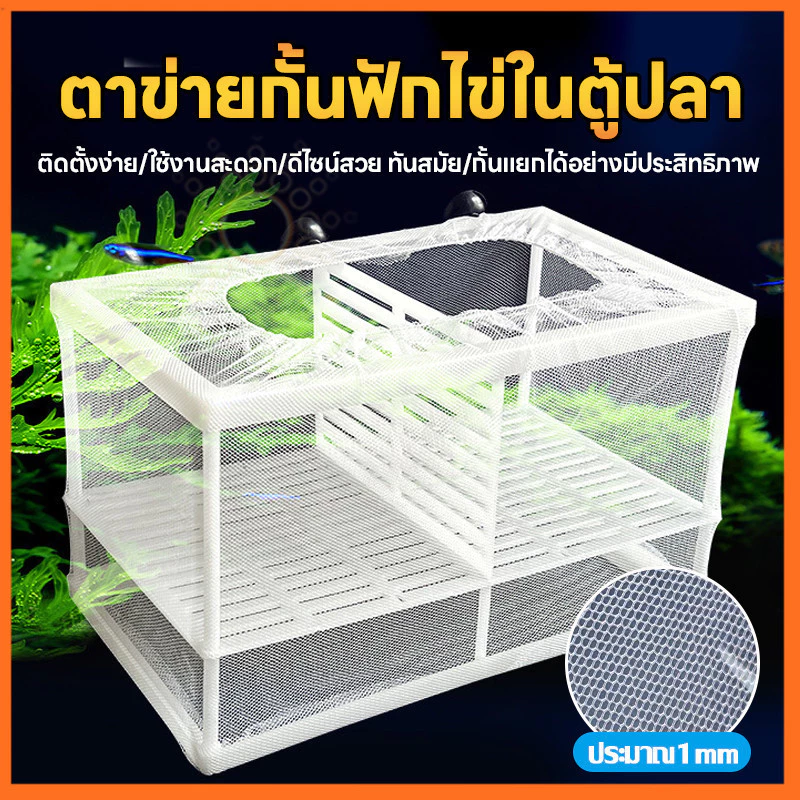 กล่องตาข่ายแยกปลา แยกปลาป่วย ลูกกุ้ง กล่องฟักไข่ปลา thumbnail 7