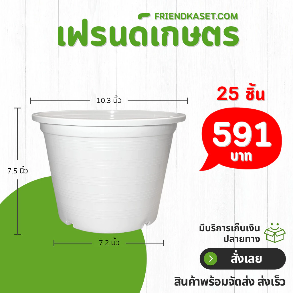 กระถางขาว 10 นิ้ว กระถางต้นไม้ กระถางพลาสติก ราคาโรงงาน หนา
