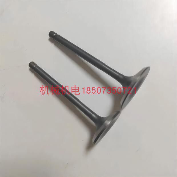 DJI D12500IE สถานีชาร์จเชื้อเพลิงวาล์วส่วนประกอบ T60 เครื่องกําเนิดไฟฟ้าทางเข้าวาล์วไอเสียผสม-Zongsh