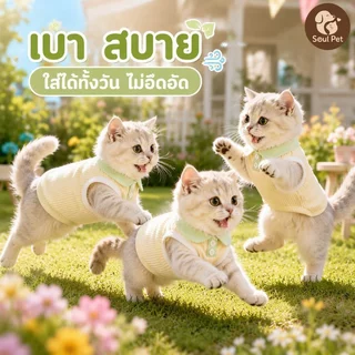 เสื้อผ้าสัตว์เลี้ยง เสื้อสุนัข เสื้อแมว คอปกพาสเทล ผ้าถักยืด ระบายอากาศ ใส่ถอดง่าย ไซส์ XS ถึง XL