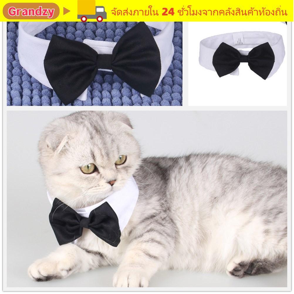 GRANDZY Cat Tuxedo Collar ปรับชุด Puppy Cat ลูกแมวสัตว์เลี้ยงอย่างเป็นทางการ Tuxedo