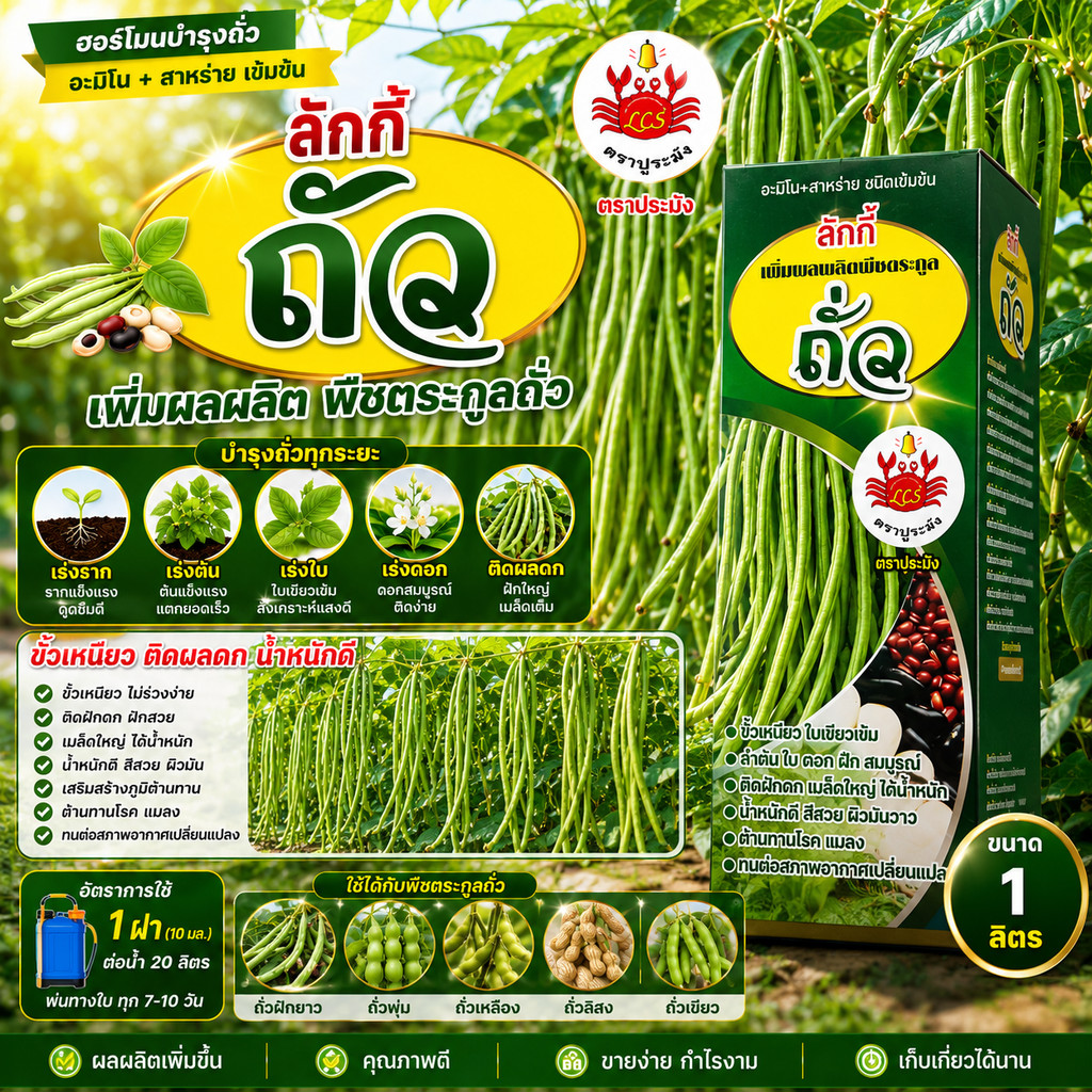 ลักกี้ ถั่ว ขนาด1 ลิตร ขั้วเหนียว ติดผลดก น้ำหนักดี ตราปูระฆัง
