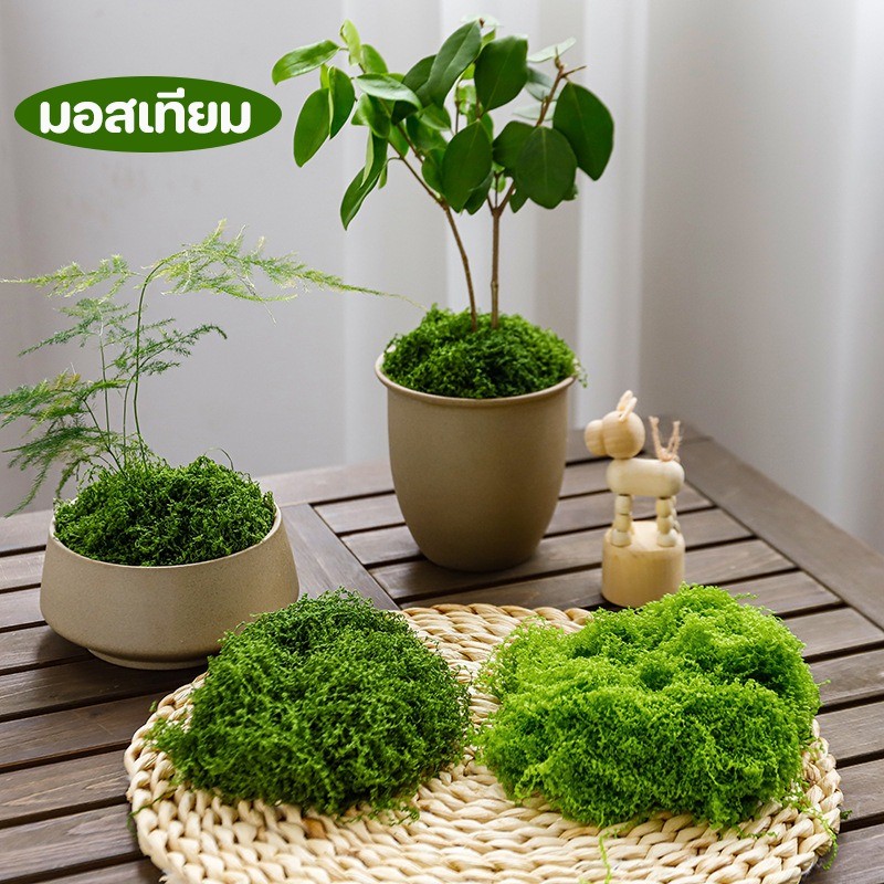 มอสเทียม แผ่นมอสปลอม แผ่นหญ้ามอส สีเขียวสดสวย ใช้งานได้ยาวนาน  ตัดแต่งได้ ตกแต่งบอนไซ  ตกแต่งบ้านและสวน