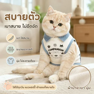 เสื้อกล้ามสุนัขแบบ POLO น่ารัก เสื้อแมว ระบายอากาศ สวมใส่ได้ทุกโอกาส ชุดสัตว์เลี้ยงน่ารัก แบบบางสำหรับฤดูร้อน
