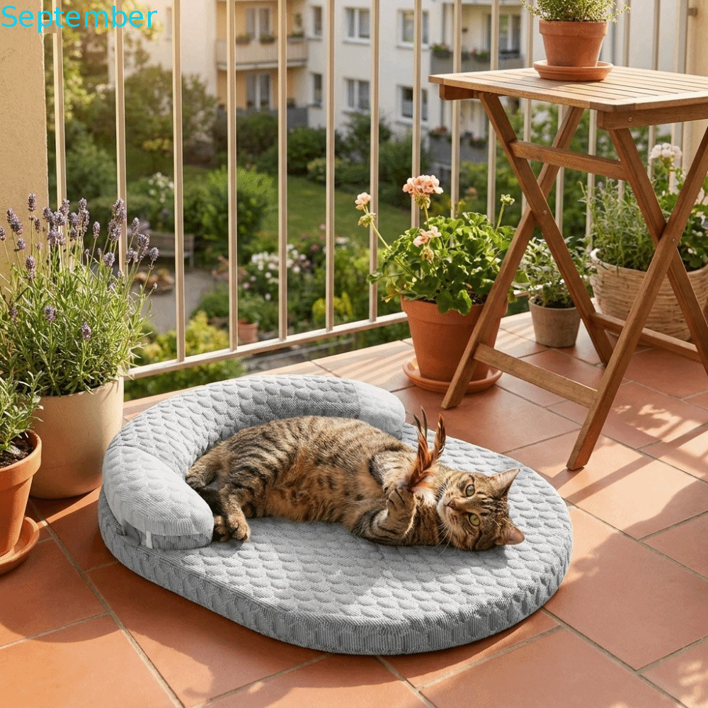 SPEPEMBER Cooling Dog Bed, Breathable ที่ถอดออกได้ Pet Cooling Mat, Pet Mat รูปไข่ Anti-Scratch Cool
