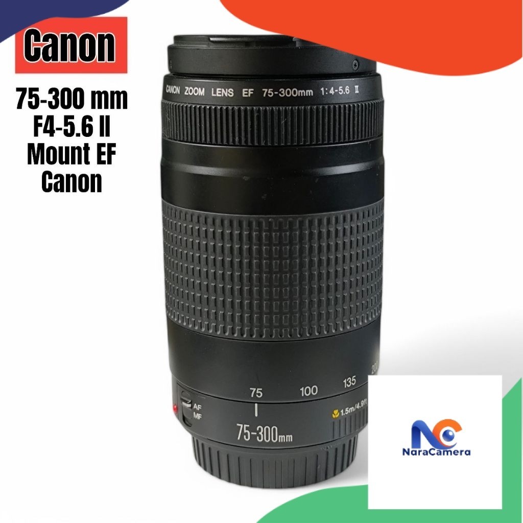 Canon EF 75-300mm F4.5-5.6 II + Hood Mount EF Canon