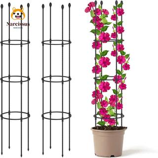 NARCISSUS Garden Trellis, Climbing Plants Infinitely Spliceable Plant Support Trellis, บ้านสวนกระถางต้นไม้พลาสติกแนวตั้งปีนเขากันสนิม Trellis ในร่ม