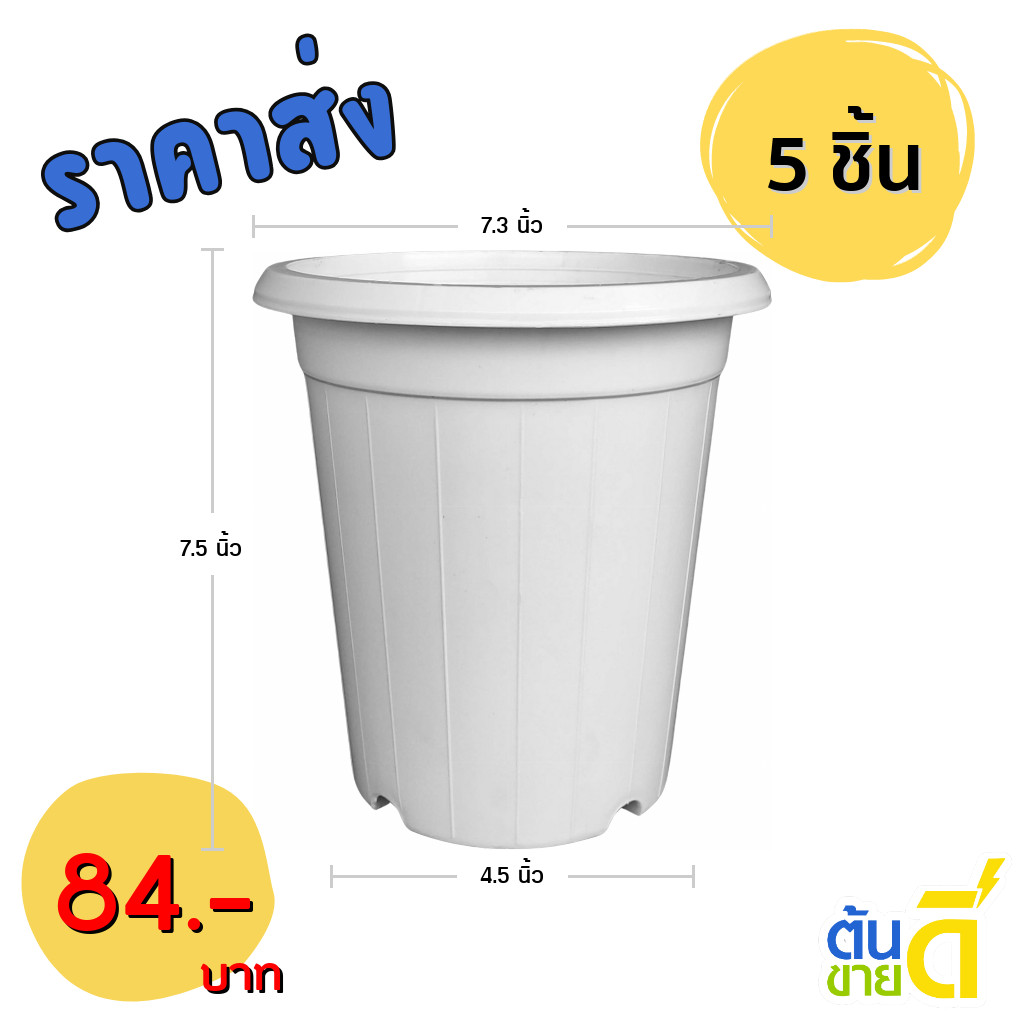กระถาง กระถางต้นไม้ กระถางทรงสูง ขนาด เบอร์ 7 7.3 นิ้ว สีขาว 5 ใบ ชิ้น อัน