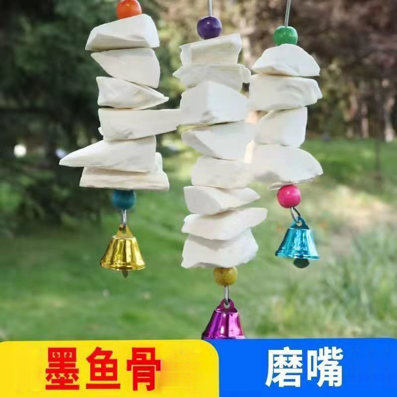 Cuttlefish Bone Skewers Phoenix Tiger Skin Peony Parrot Calcium Molar Supplies Utensils Bird Food Sq