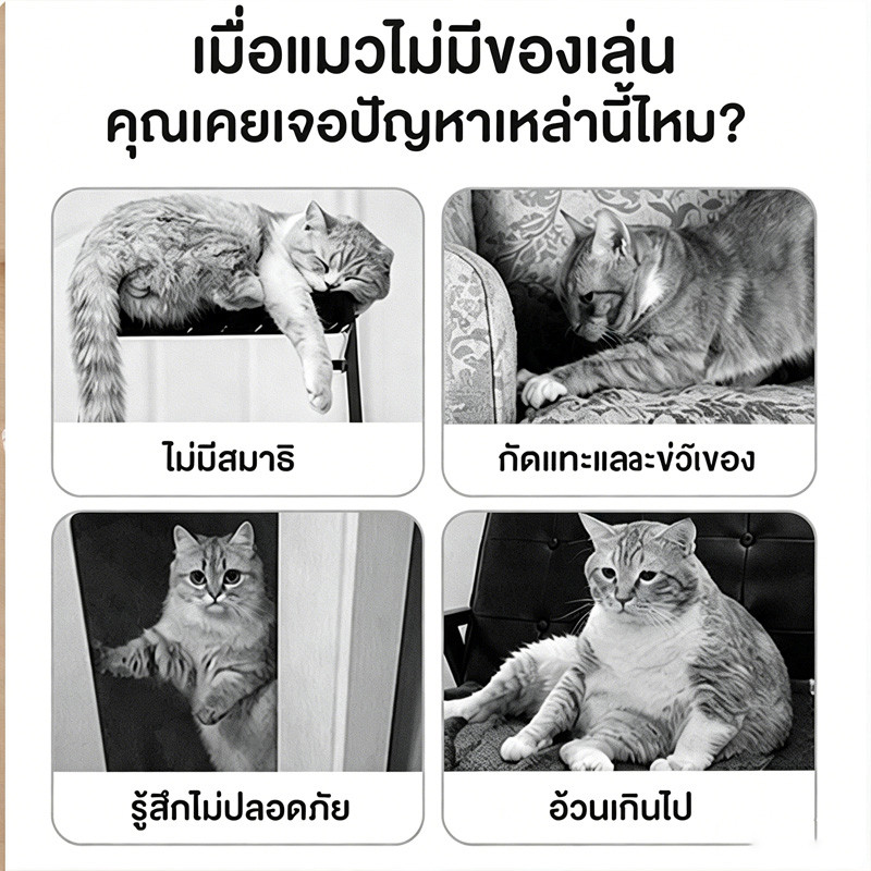 อุโมงค์แมวพับได้  ของเล่นแมวเด็ก ง่ายต่อการจัดเก็บ ปลดปล่อยธรรมชาติ วัสดุป้องกันการขีดข่วน รูปที่ 2