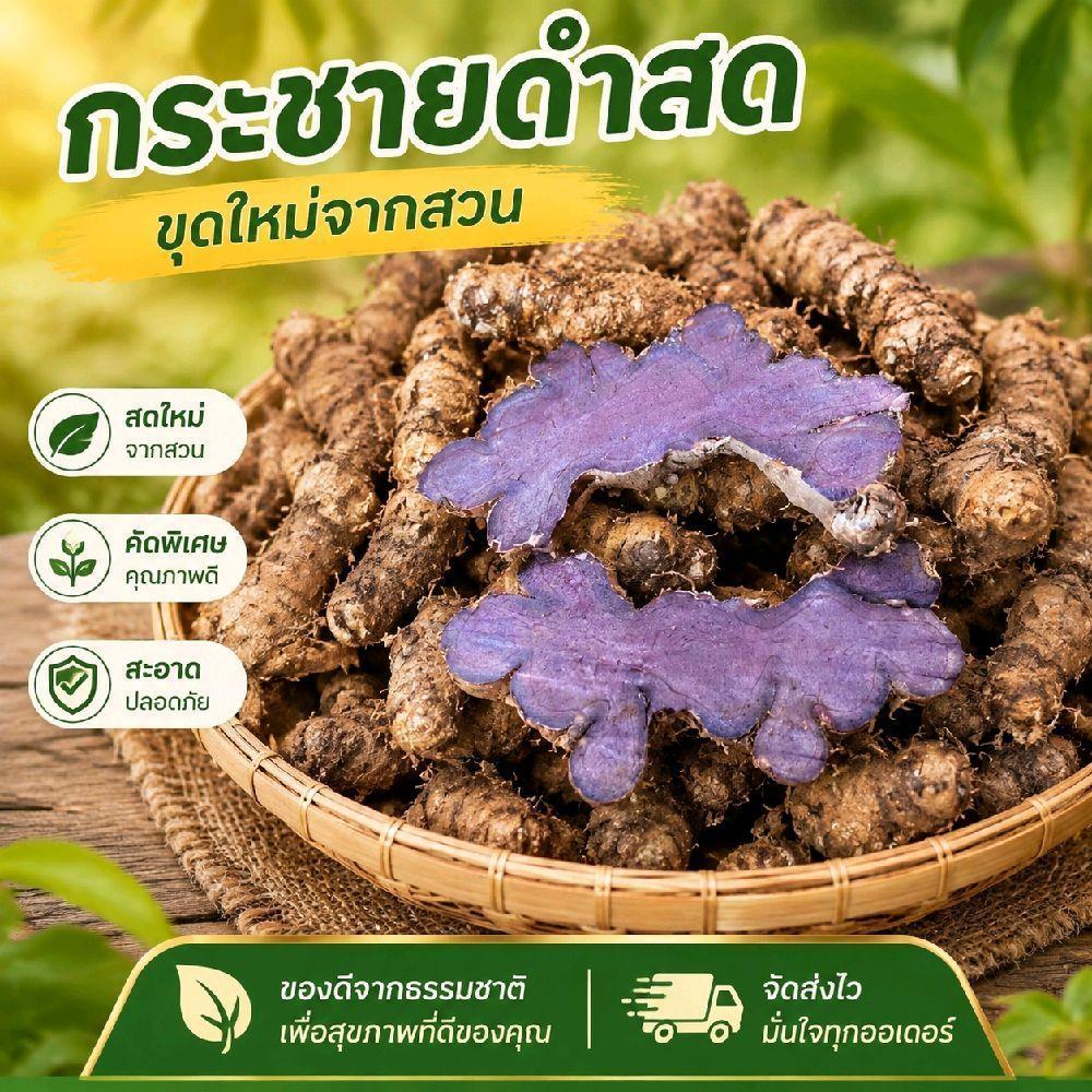 หัวกระชายดำสด 1กก. กระชายดำ