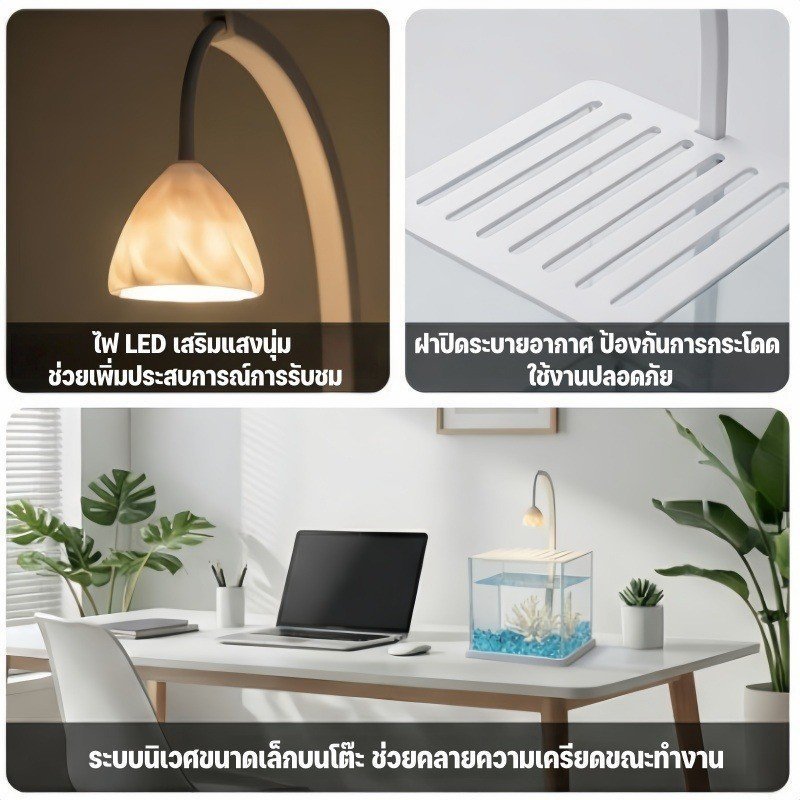 ตู้ปลากัด อะคริลิกใส ตู้ปลาเล็ก ตั้งโต๊ะ ไฟ LED รูปที่ 7