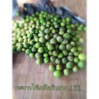 มะนาวไร้เมล็ด 1กิโลกรัม คั้นน้ำ ผิวลายน้ำเยอะ ราคาสุดคุ้ม Lemon without seeds, juiced with patterned balls