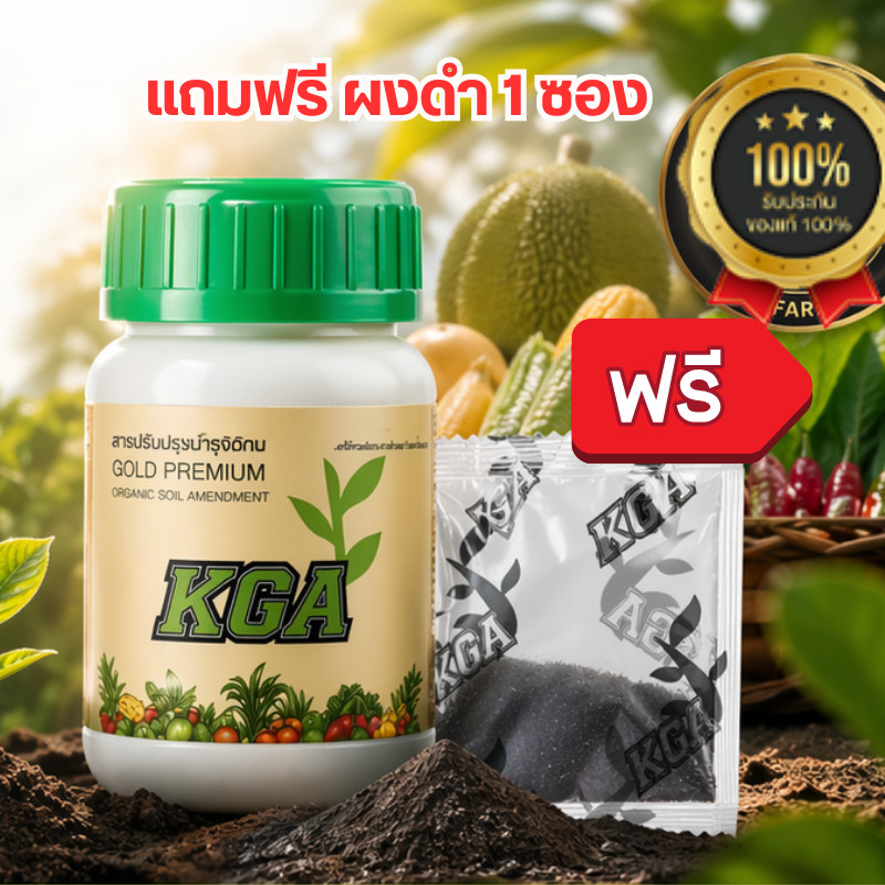 น้ำสีทอง KGAสูตรน้ำ น้ำสีทองKGA สูตรพิเศษเร่งผลผลิตx2 ผงดำ ผงดำKGA เป็นสารอินทรีย์จากธรรมชาติ