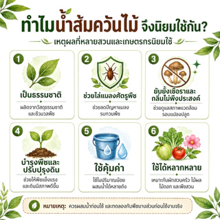[1แถม1] น้ำส้มควันไม้ อเนกประสงค์ ธรรมชาติ 100% (500ml) ไล่แมลง ดับกลิ่น บำรุงพืช ฟื้นฟูดิน แถมฟรีเมล็ดผัก+คู่มือ