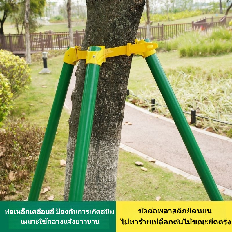 เสาค้ำกันลมสำหรับไม้ผลในสวน เสาค้ำกันลม โครงค้ำยันต้นไม้ โครงค้ำต้นกล้าไม้จริง