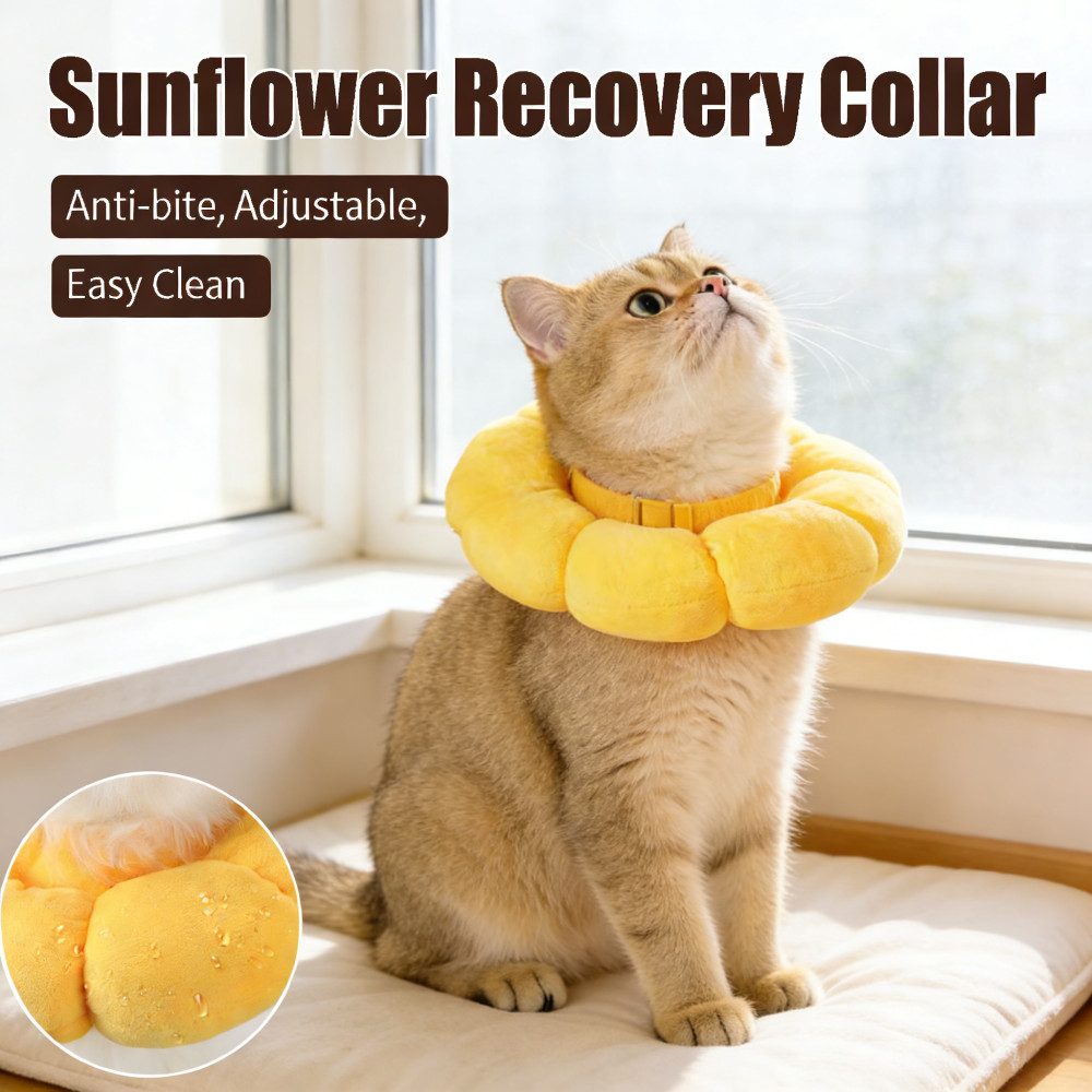 Elizabeth Collar Cat Pet Surgery Rehabilitation Sunflower Pet Dog Collar
