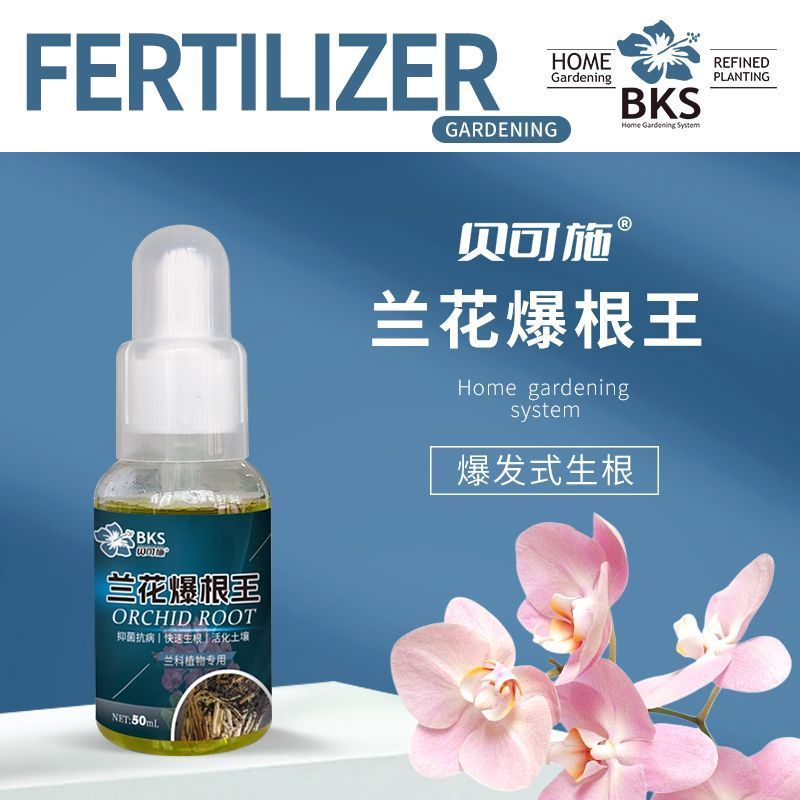 Becos Orchid Root King Indoor Garden Orchid Plant Universal Explosive Kao สินค้าในประเทศมากมาย#贝可施兰花