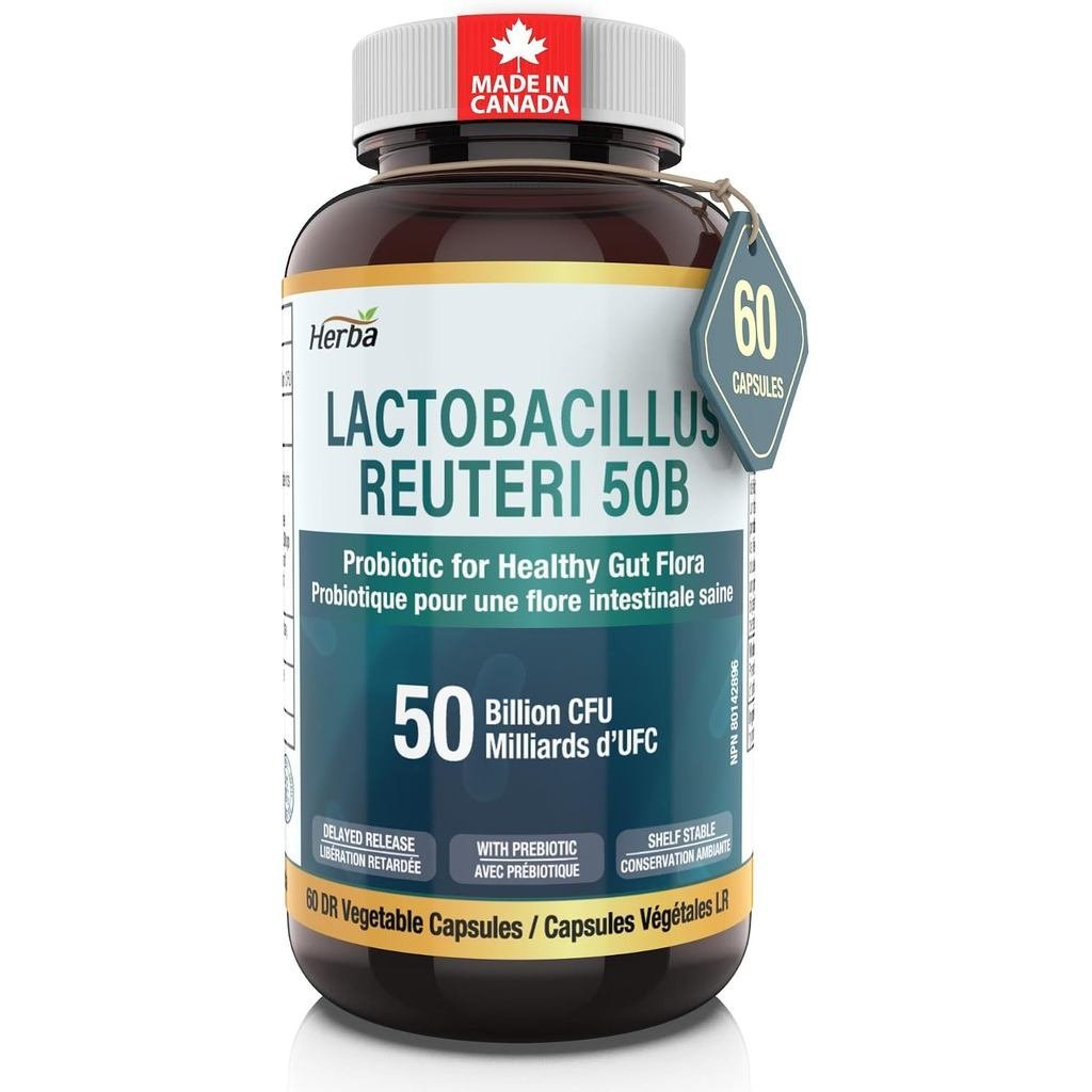 Herba Lactoberry Reuteri 50B CFU – 60 แคปซูล DR | Potent L Reuteri โปรไบโอติกสําหรับ Gut Flora & สุข