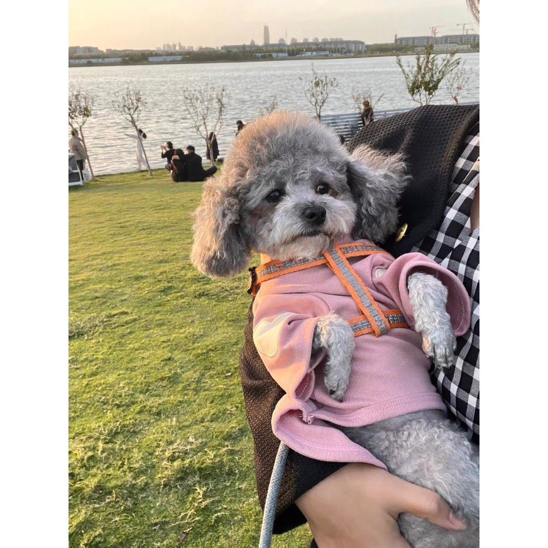 รูปภาพ 6