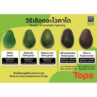 อโวคาโดแฮสคัดพิเศษ Hass Avocado Premium [หมายเลขบาร์โค้ด 0000048269780 ] สินค้าคุณภาพดี คัดสรรอย่างตั้งใจ