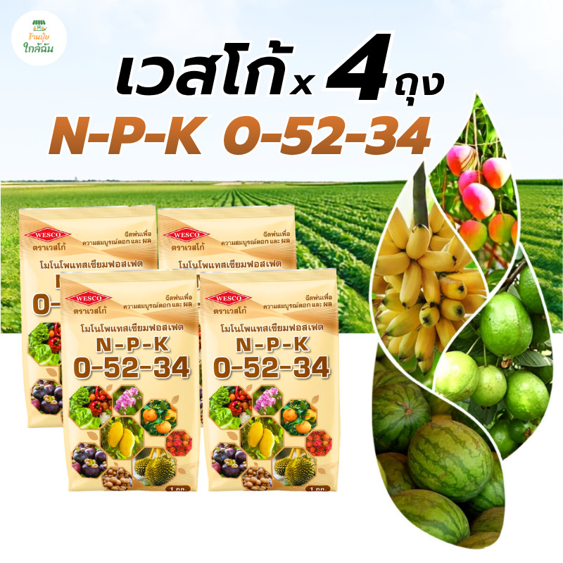 [4 ถุง] ปุ๋ยเกล็ดเวสโก้ 0-52-34 ปุ๋ยทำหวานสะสมดอก ขนาด 1 กก. ปุ๋ยสะสมอาหาร ยับยั้งใบอ่อน เร่งออกดอก ดอกส