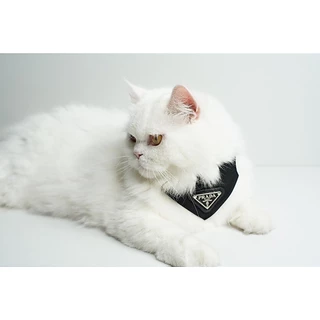 ผ้าพันคอน้องหมา น้องแมว พราด้า Scarf