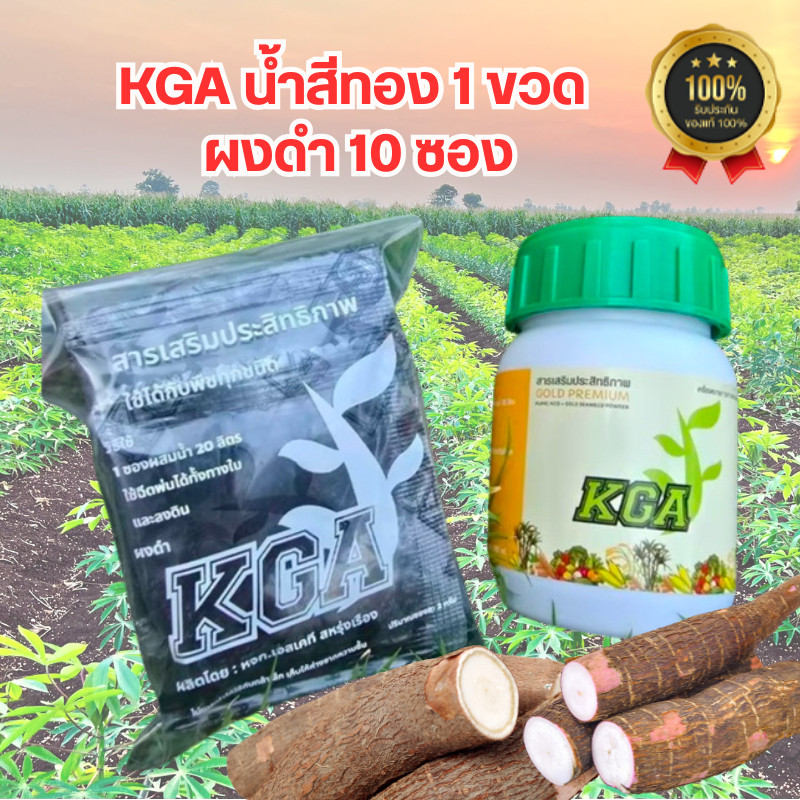 KGAน้ำสีทอง ผงดำKGA​ สูตรพิเศษคูณ2 น้ำสีทองKGA ผสมสาหร่ายสีทอง เน้นเรื่องการระเบิดหัว การเพิ่มผลผลิต