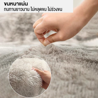 พรม 40*60cm พรมปูพื้นห้องนอน พรมปูพื้น พรมห้องนั่งเล่น พรมขนนุ่ม ผ้าปูพื้นพรมก พรมขนสั้น ขนนิ่ม ตกแต่งสวย มีหลายขนาด COD