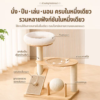 คอนโดแมวไม้ พร้อมโดมนอนแบบใส คอนโดแมว ตัวคอนโดแมวใหญ่ condoแมว กรอบปีนแมว โครงปีนแมว แคปซูลอวกาศ บ้านแมว คอนโดแมวไม้จริง