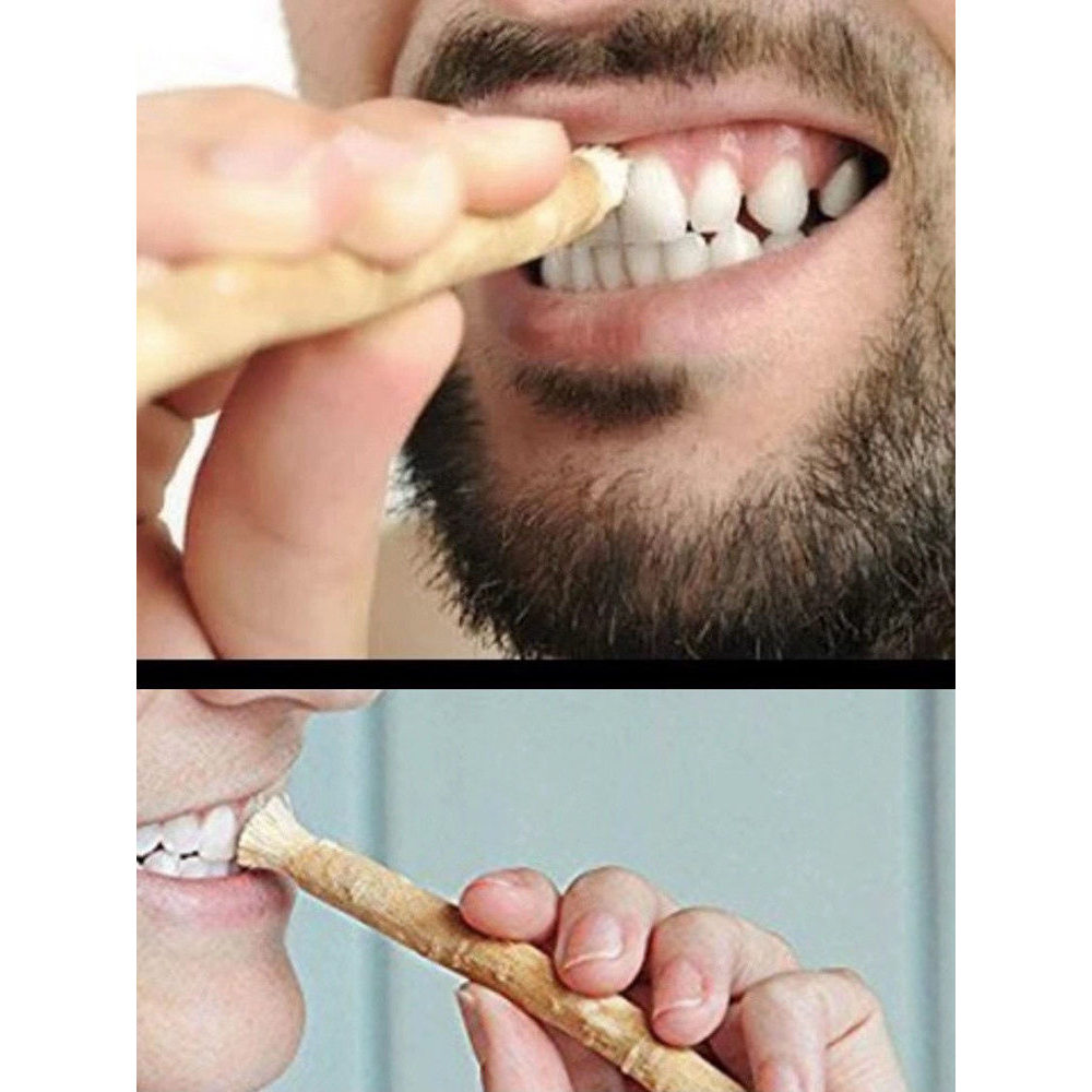 แปรงสีฟัน toothbrush Miswak miswak miswak Stick สาขาแปรงสีฟันทําความสะอาดโบราณฟันอาหรับแท้พืช