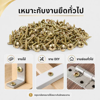 สกรูเกลียวปล่อย หัวร่ม หัวแฉก STAR ชุบรุ้ง แพ็ค 100 ตัว เบอร์ 7 8 10 เลือกความยาวได้