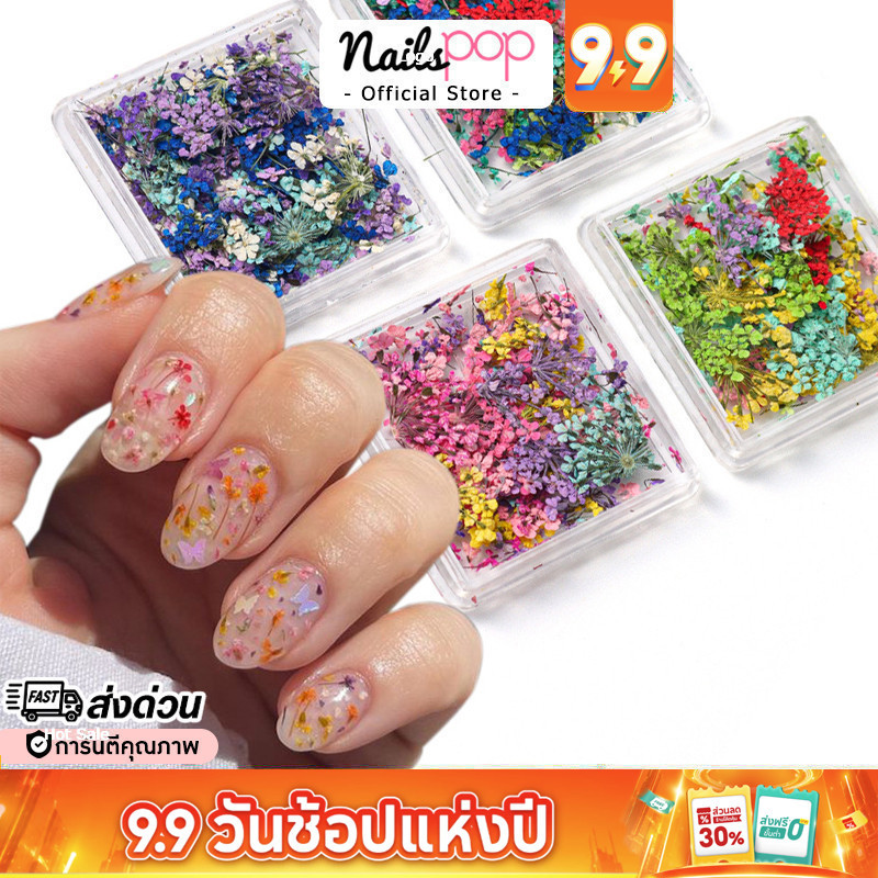 พร้อมส่ง ดอกไม้แห้ง อุปกรณ์แต่งเล็บ อะไหล่ติดเล็บ Mix Flower อะไหล่ตกแต่งเล็บ จิวแต่งเล็บ Nailspop