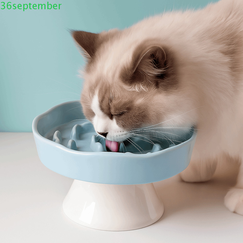 เซปเบอร์ แมวชามอาหารช้า,เซรามิกสัตว์เลี้ยงน่ารักชามเท้าสูง,ป้องกันเคาะป้องกันการให้ทิปหลายใช้ลื่นสุนัขให้อาหารอ่างน้ําจ