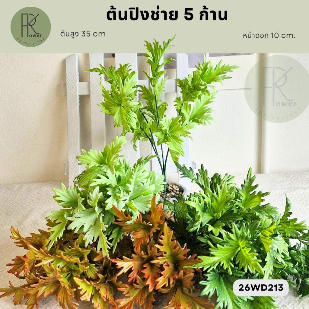 ต้นปิงช่าย 5 ก้าน 35 cm หน้าดอก 10 cm 26WD213