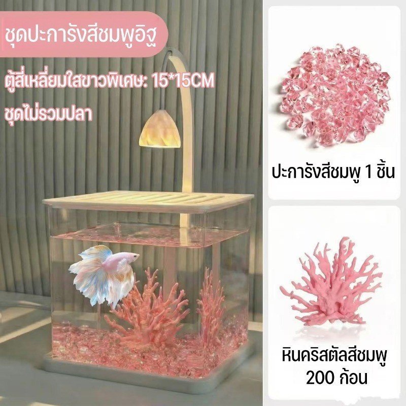 ตู้ปลากัด อะคริลิกใส ตู้ปลาเล็ก ตั้งโต๊ะ ไฟ LED รูปที่ 6