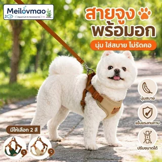 Meilovmao สายจูงสุนัข พร้อมเสื้อรัดอกแมว สายจูงสัตว์เลี้ยง ผ้าไมโครไฟเบอร์ ระบายอากาศ หลายสี หลายไซส์