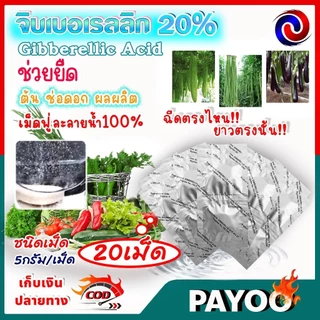 จิ๊บเม็ด จิบเบอเรลลิน จิบเบอเรลลิก แอซิด ชนิดเม็ด Gibberellic Acid 20%(GA3) เม็ดฟู่ละลายน้ำ100% / ((มีหลายตัวเลือก))
