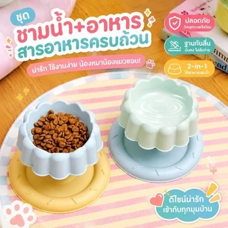 ชามอาหารแมว ชามอาหารแมวยกสูงกันมด จานให้อาหาร 2ชั้น เพิ่มความสูง รูปร่างเค้ก ทําความสะอาดง่าย